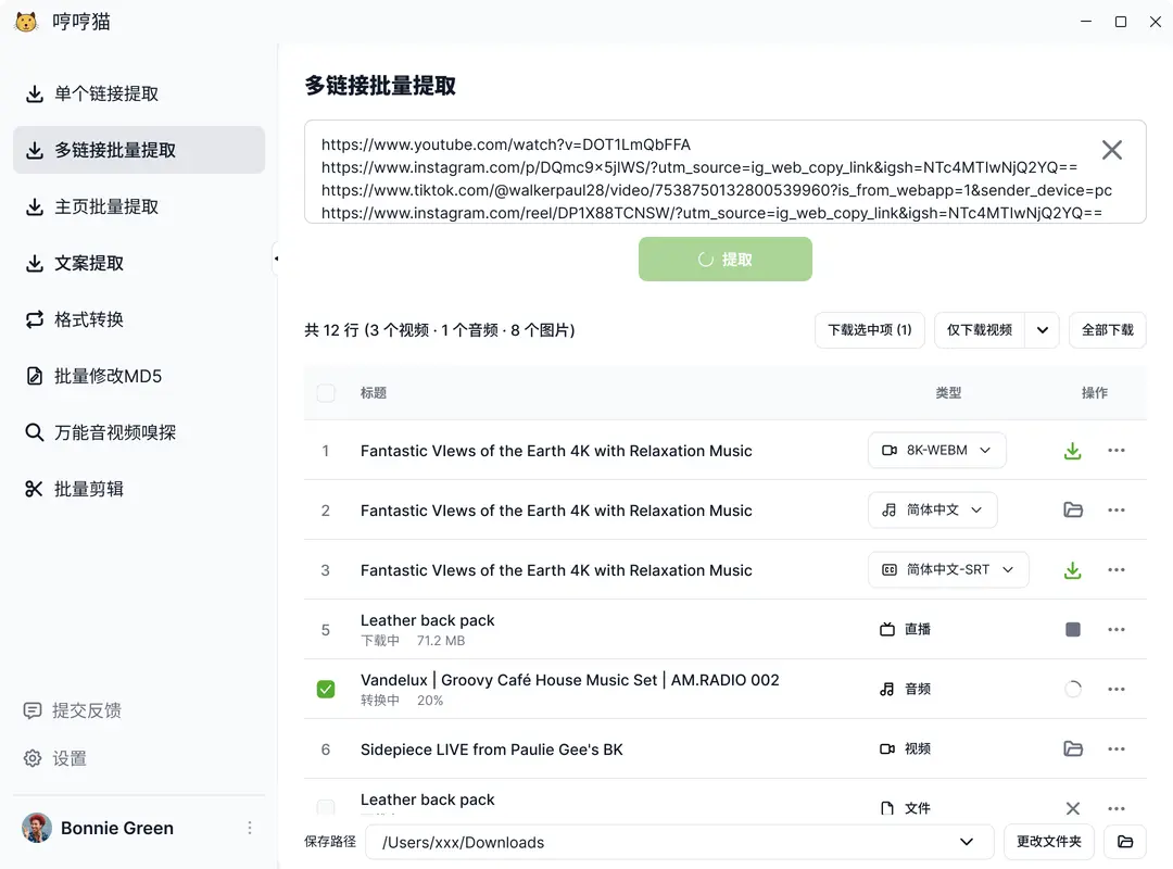 Bulk Downloader